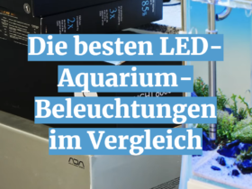 Die besten LED-Aquarium-Beleuchtungen im Vergleich