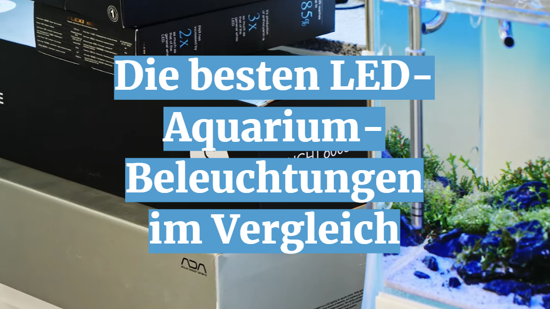 Die besten LED-Aquarium-Beleuchtungen im Vergleich