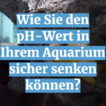 Wie Sie den pH-Wert in Ihrem Aquarium sicher senken können
